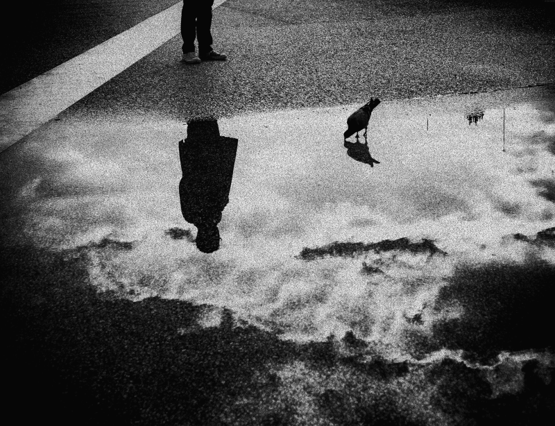 Más allá del obstáculo